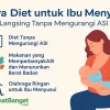 Langsing Tanpa Mengurangi ASI Cara Diet untuk Ibu Menyusui